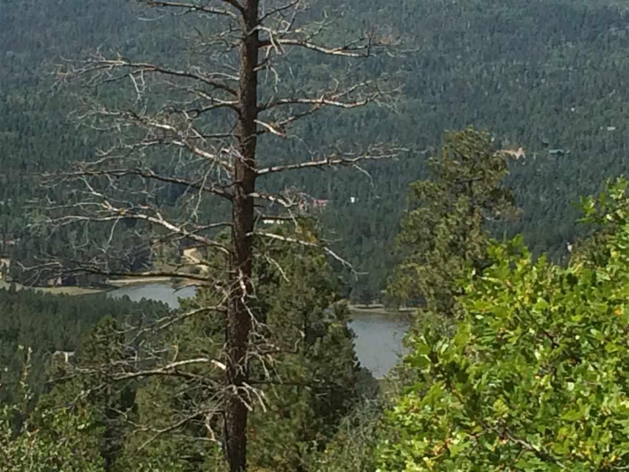 467 Vail Loop South - Photo 1