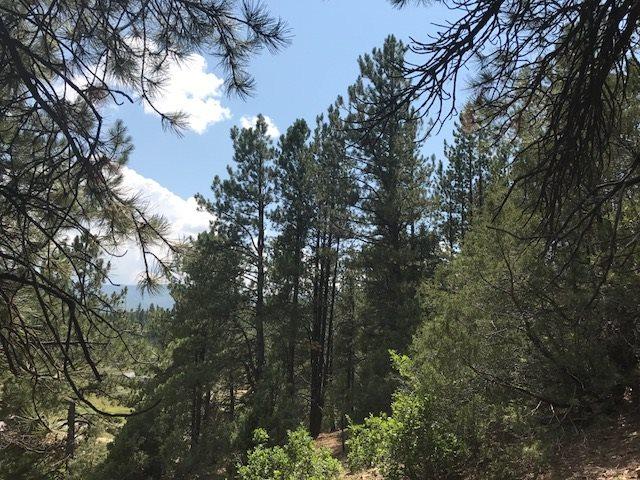 24 acres Off Hwy 64East - Photo 1