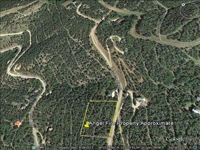 Lot 596A Panorama - Photo 1