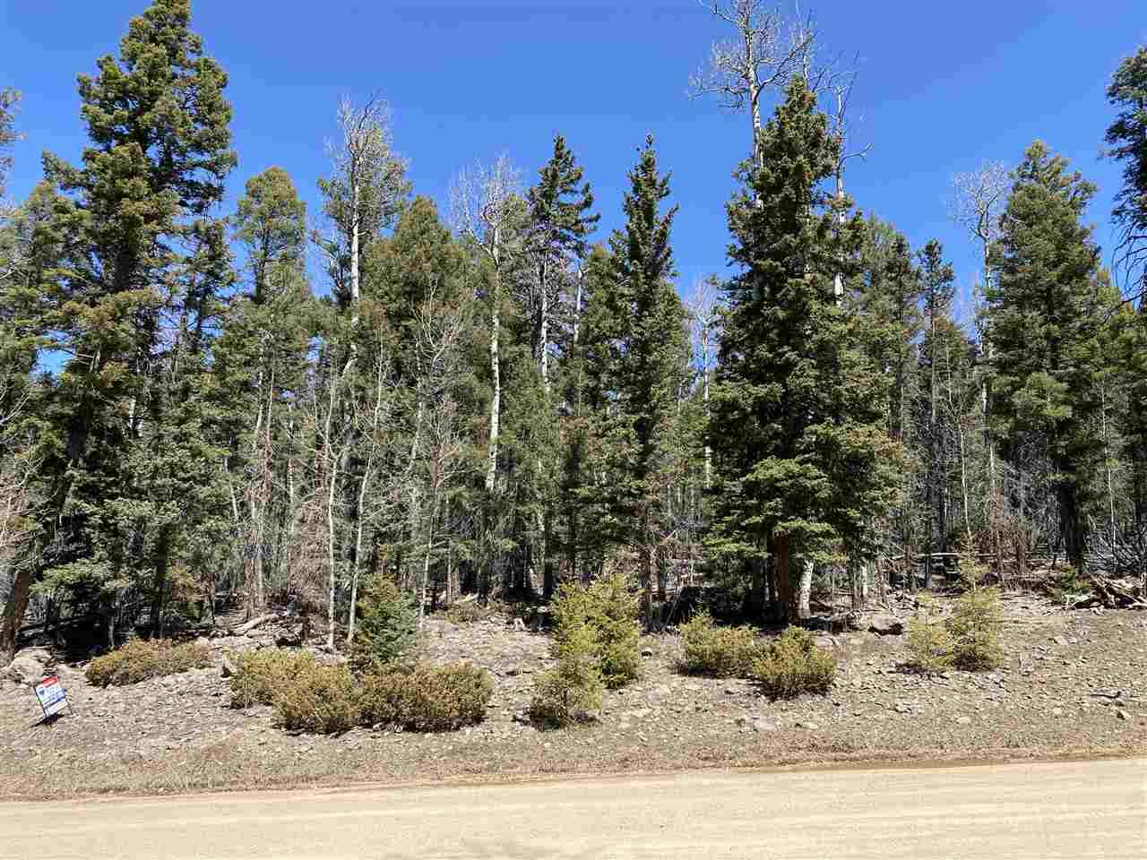 Lot 1113 El Camino Real - Photo 1