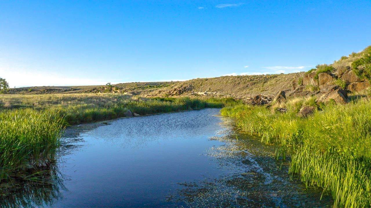 107 Bullard Road - Photo 1