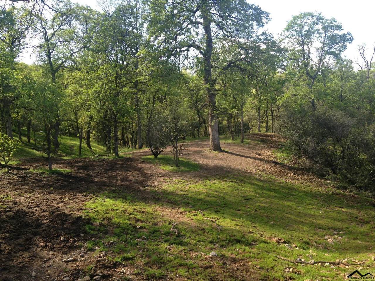 000 Saddleback Ridge Lp. - Photo 1