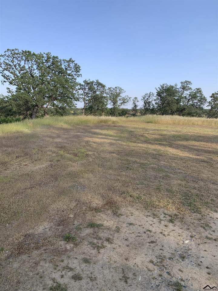 5875 Remunda Road - Photo 1