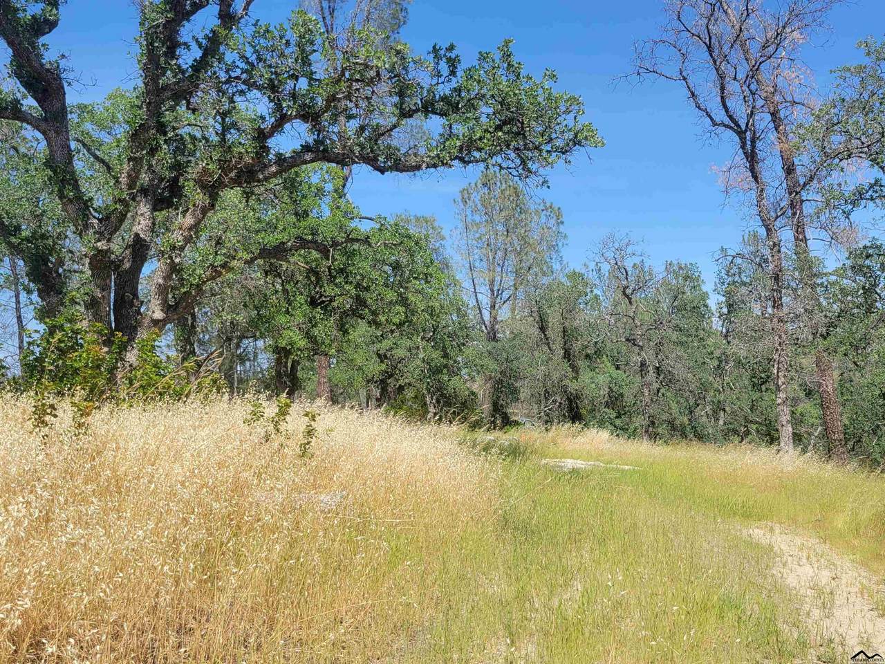 7124 Horseshoe Drive - Photo 1