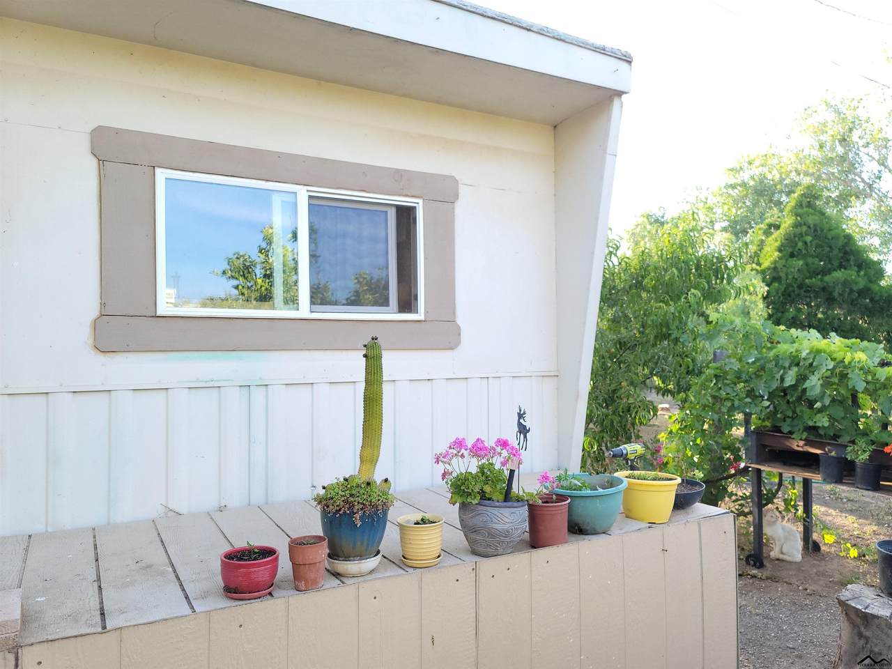 22350 Rodeo Avenue - Photo 1