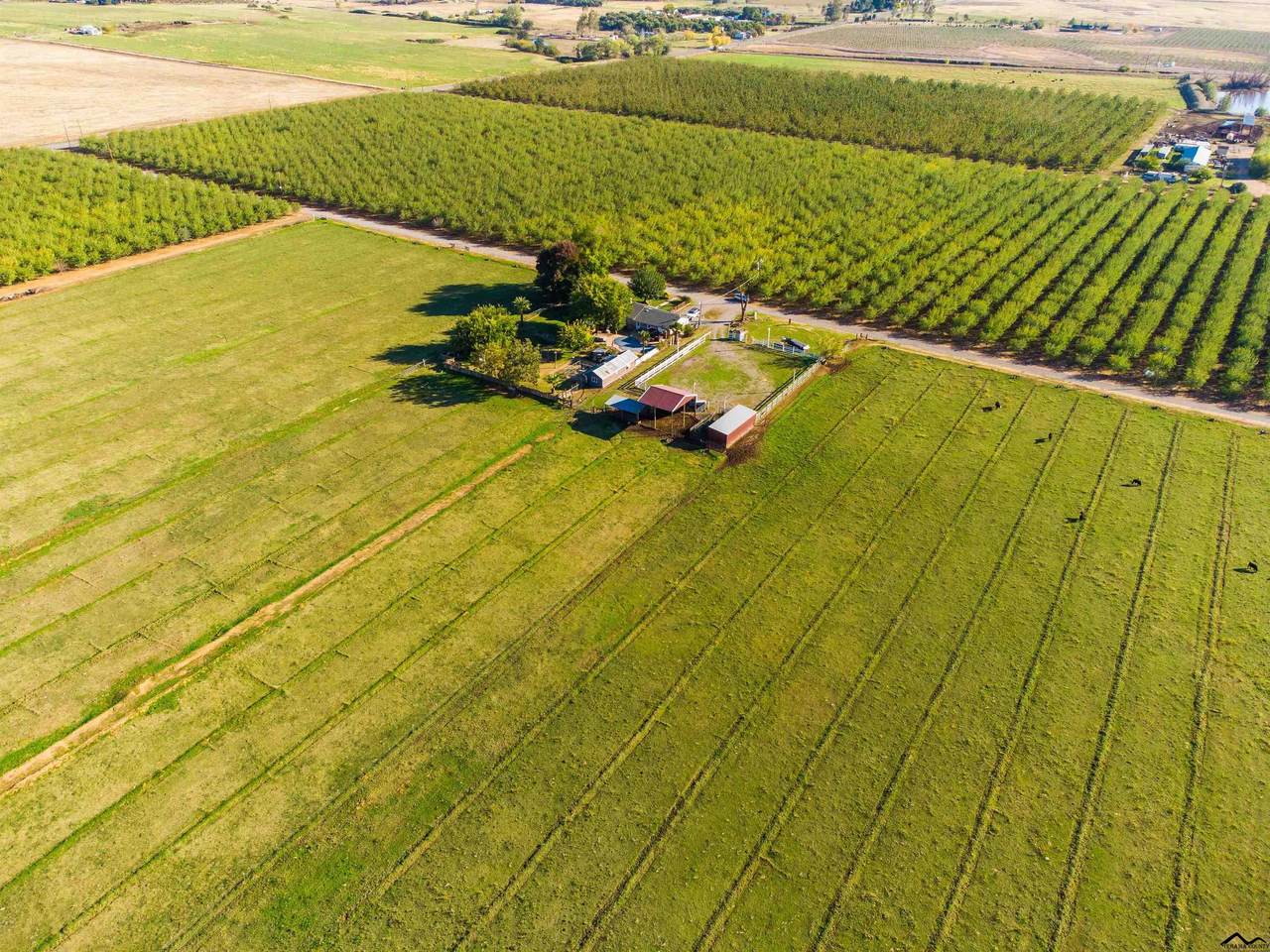 24420 Citrus Road - Photo 1