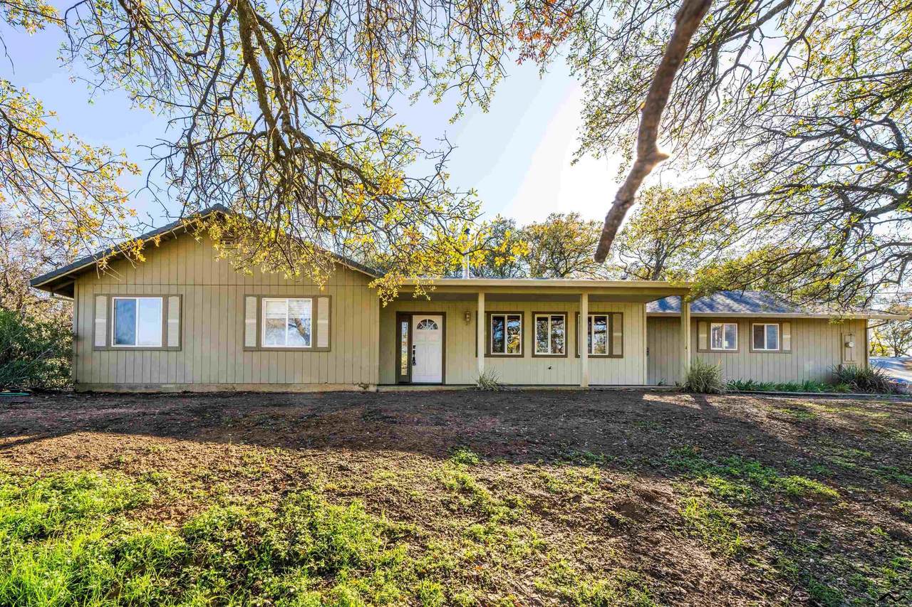 14195 Wyndhaven Drive - Photo 1