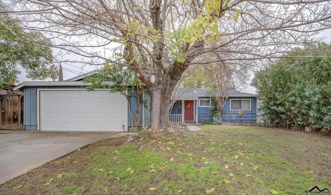 550 Wernmark Way - Photo 1