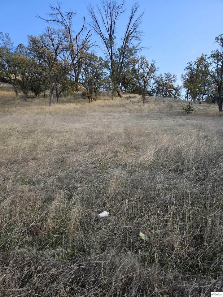 17007 Stagecoach Road - Photo 1
