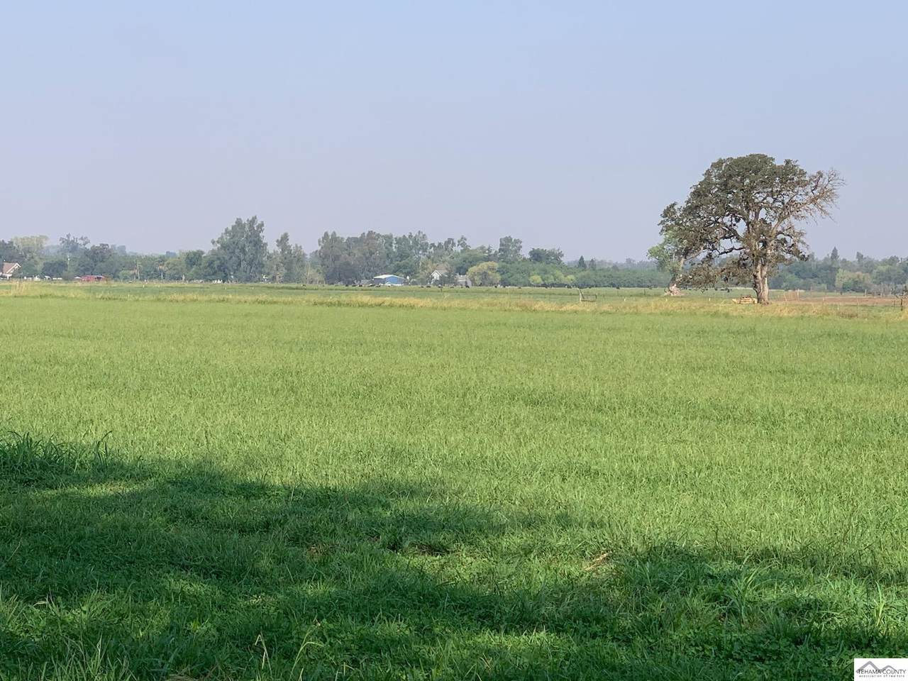 https://bt-photos.global.ssl.fastly.net/tehama/1280_boomver_1_20240010-2.jpg
