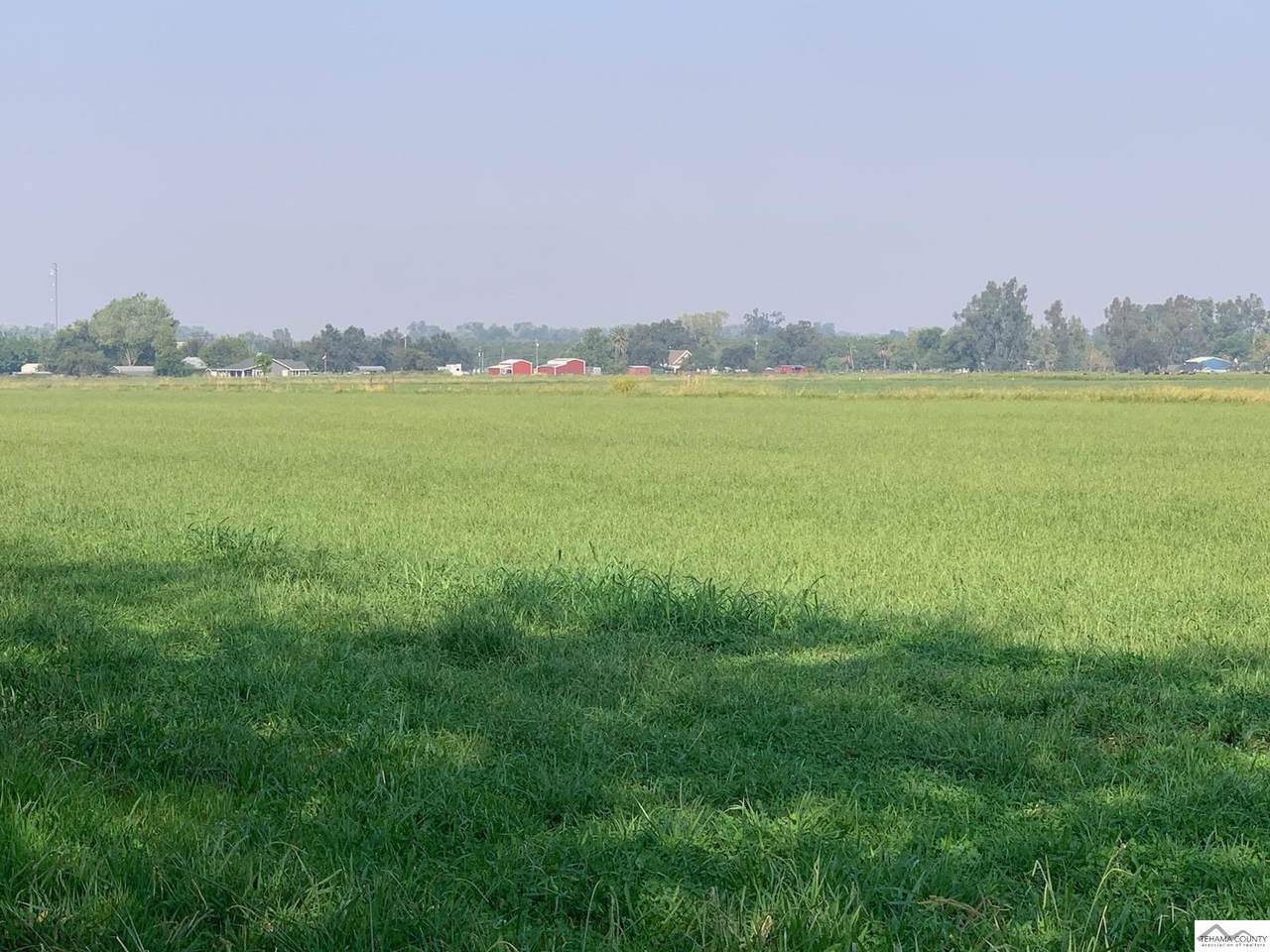https://bt-photos.global.ssl.fastly.net/tehama/1280_boomver_1_20240010-2.jpg