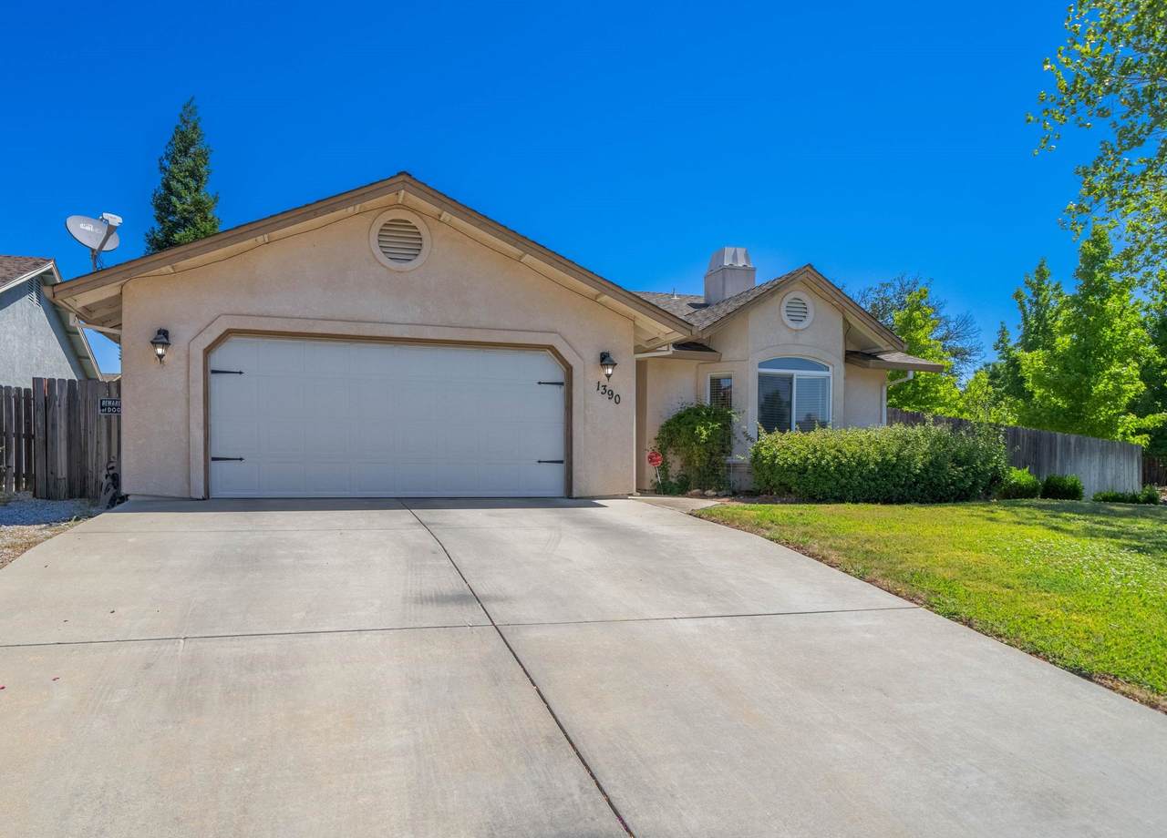 1390 Donita Drive - Photo 1