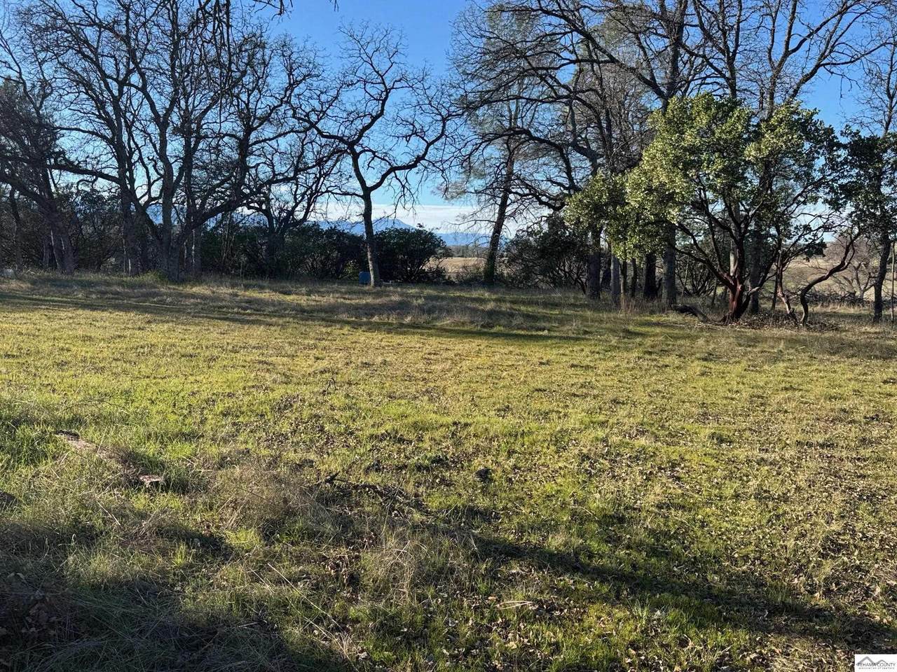 16240 Rancho Tehama Rd. - Photo 1