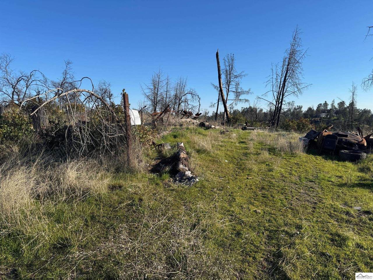 15743 / 15753 Pine Needle Court - Photo 1