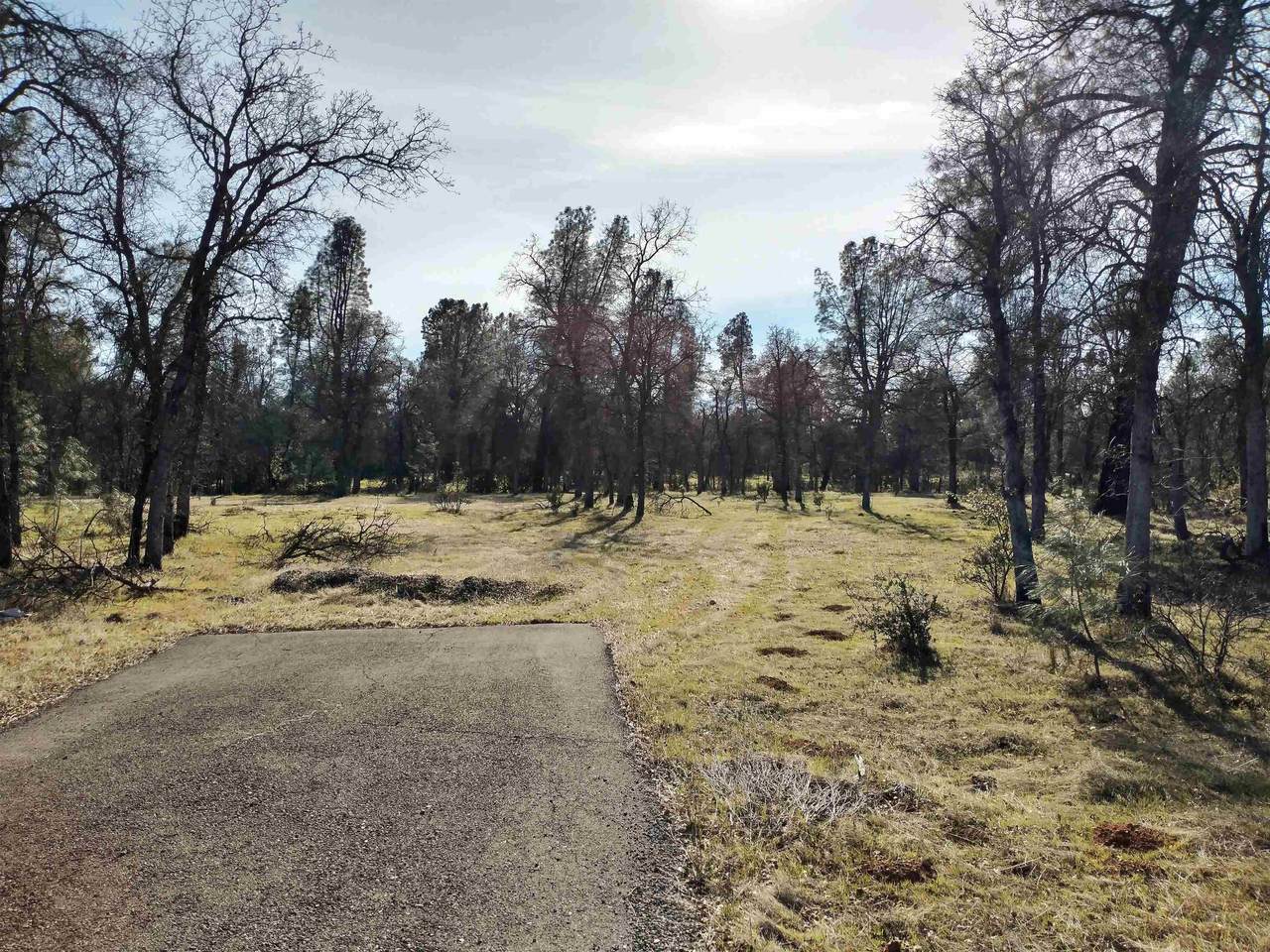 https://bt-photos.global.ssl.fastly.net/tehama/1280_boomver_2_20250097-2.jpg