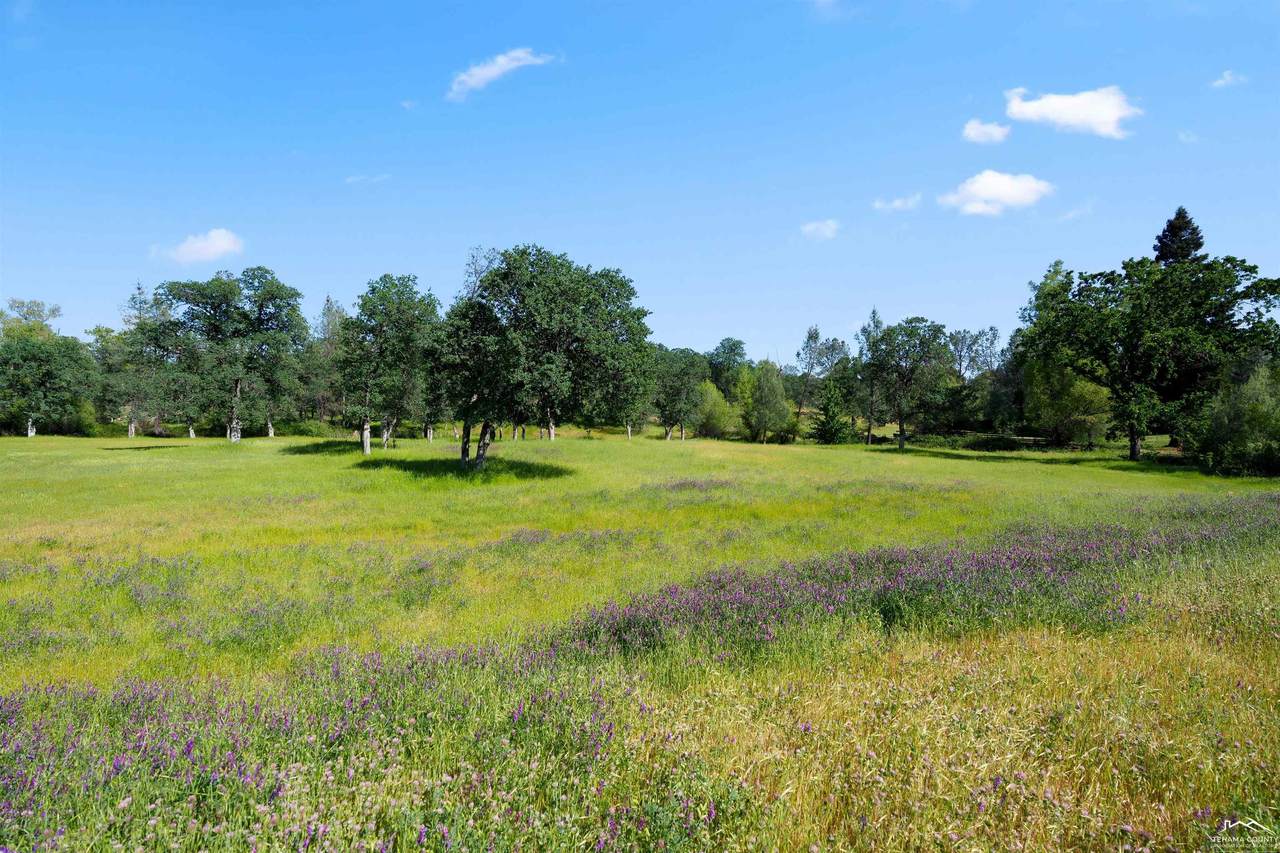 19483 Belleterre Drive - Photo 1