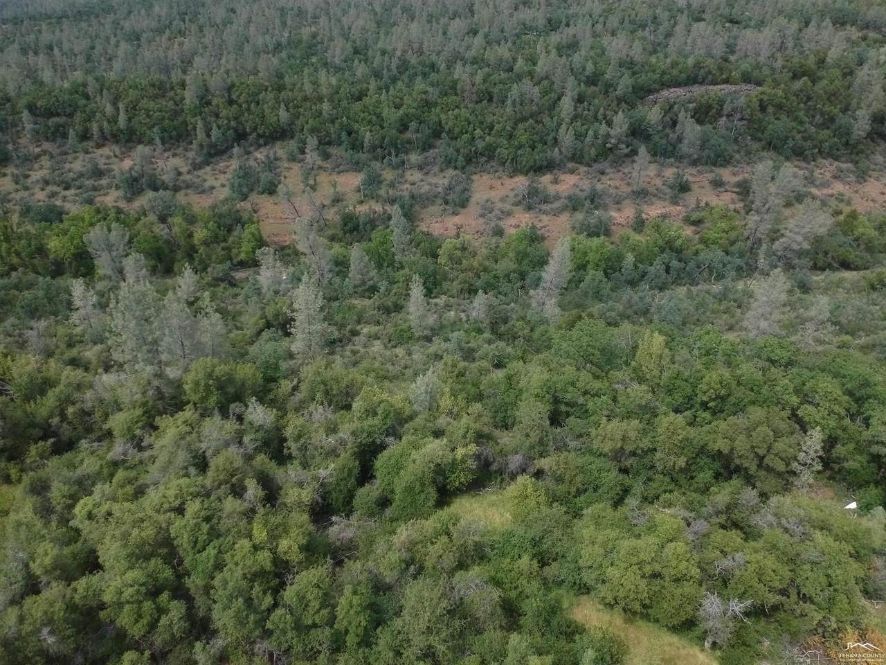 27048 Lack Creek Drive - Photo 1