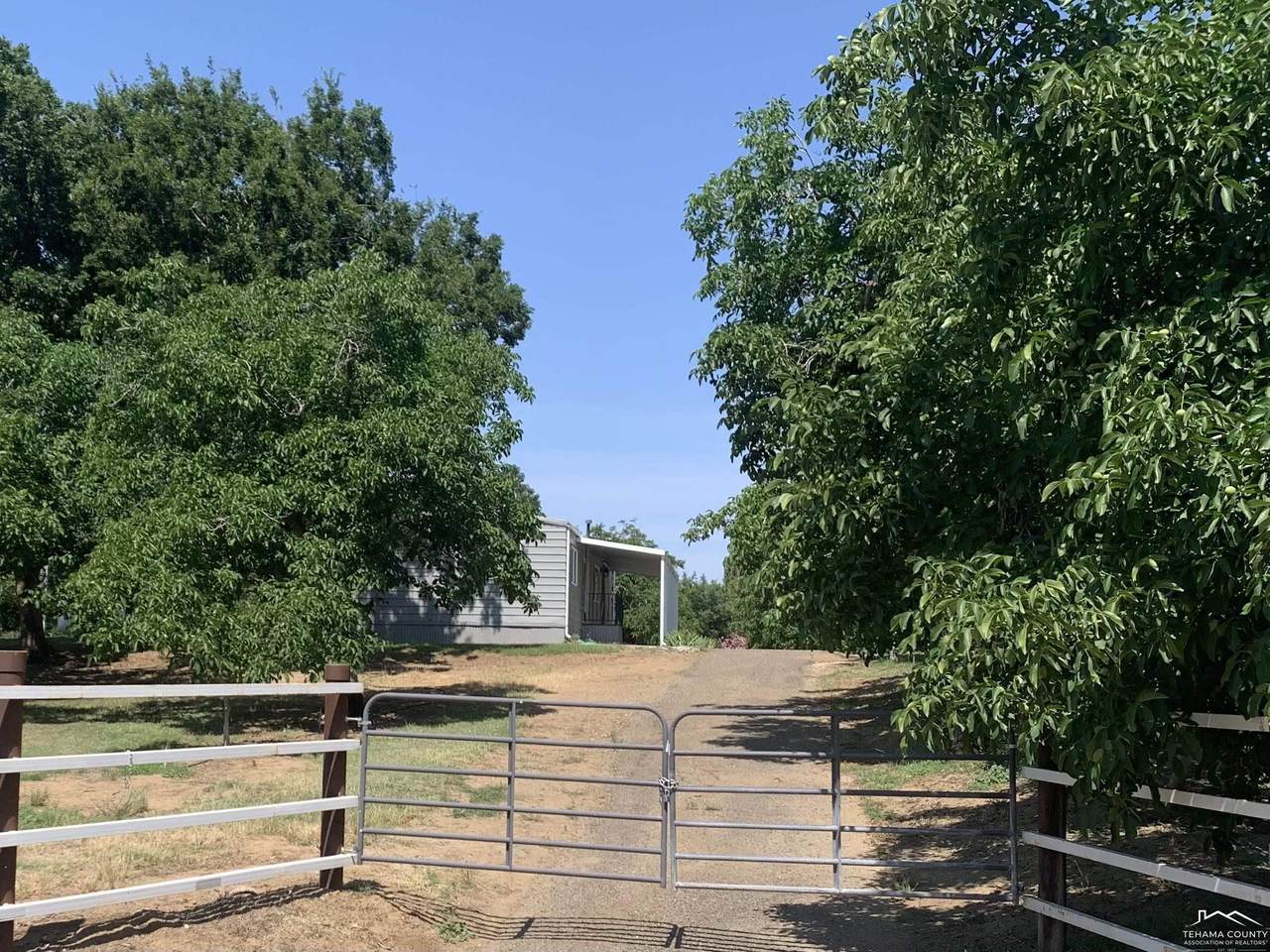 820 Paynes Creek Road - Photo 1