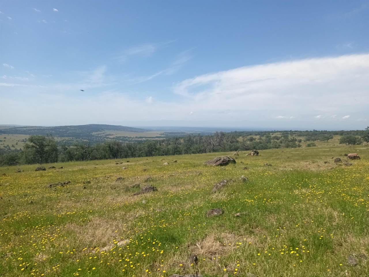https://bt-photos.global.ssl.fastly.net/tehama/1280_boomver_1_20250577-2.jpg