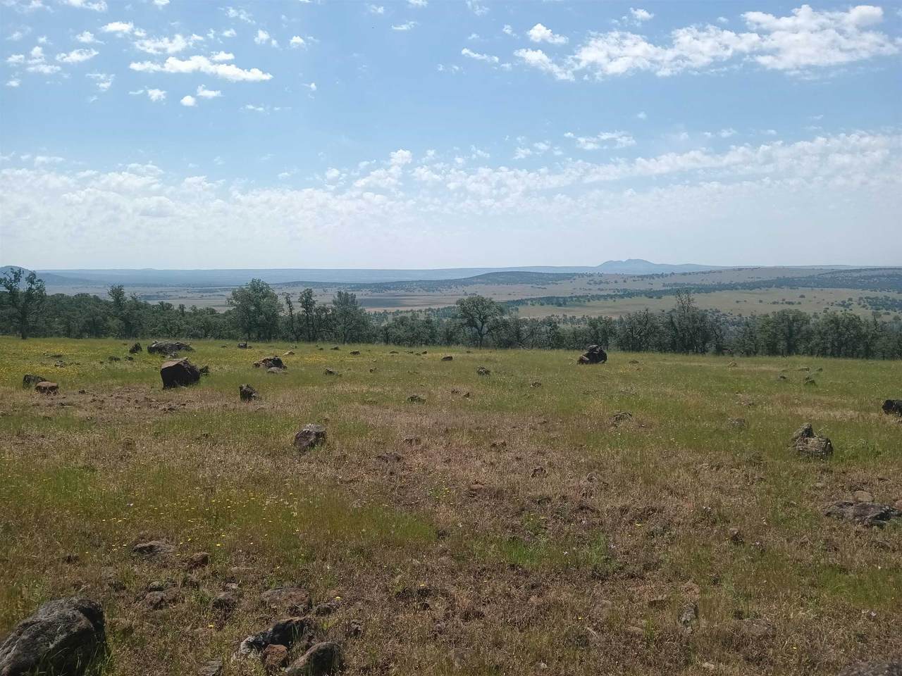 https://bt-photos.global.ssl.fastly.net/tehama/1280_boomver_1_20250577-2.jpg