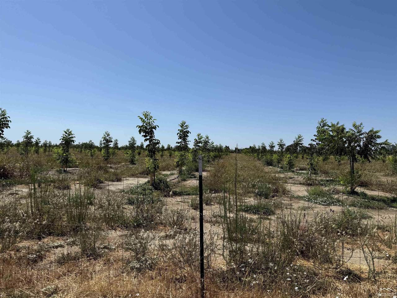 00 Loleta Avenue - Photo 1