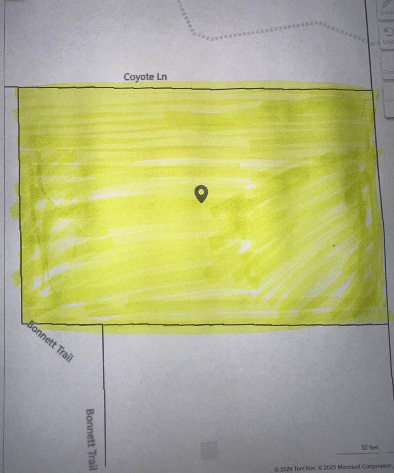 4733 Coyote Road - Photo 1