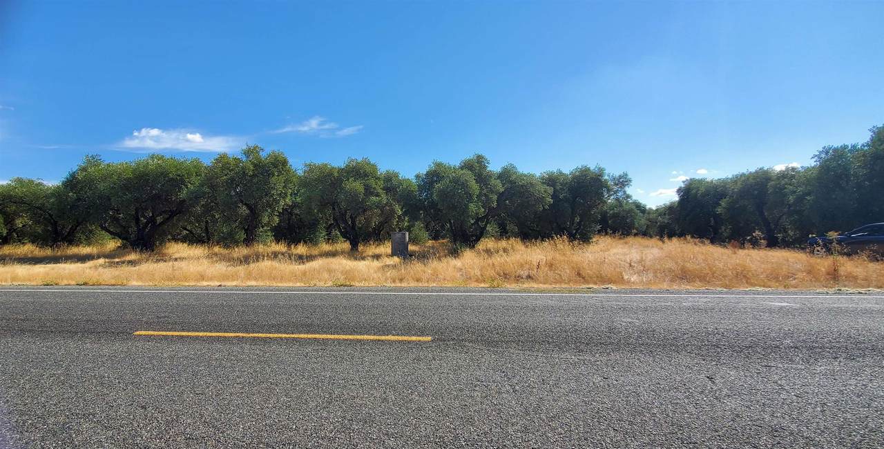 00 Finnell Avenue - Photo 1