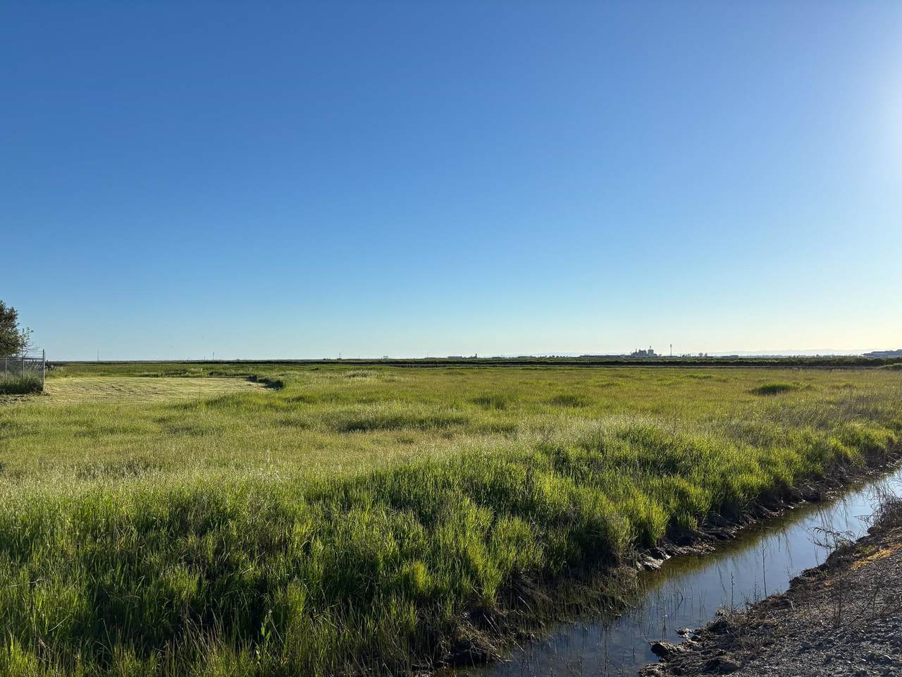 3035 Sankey Road - Photo 1