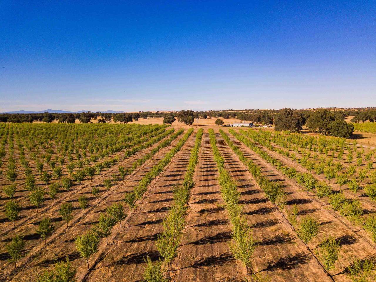 10370 Briggs Road - Photo 1