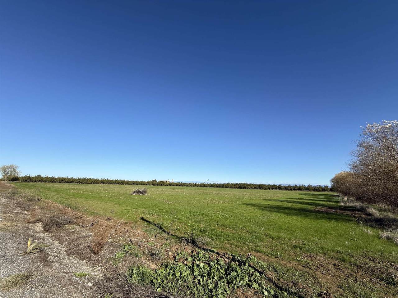 5068 Woodson Avenue - Photo 1