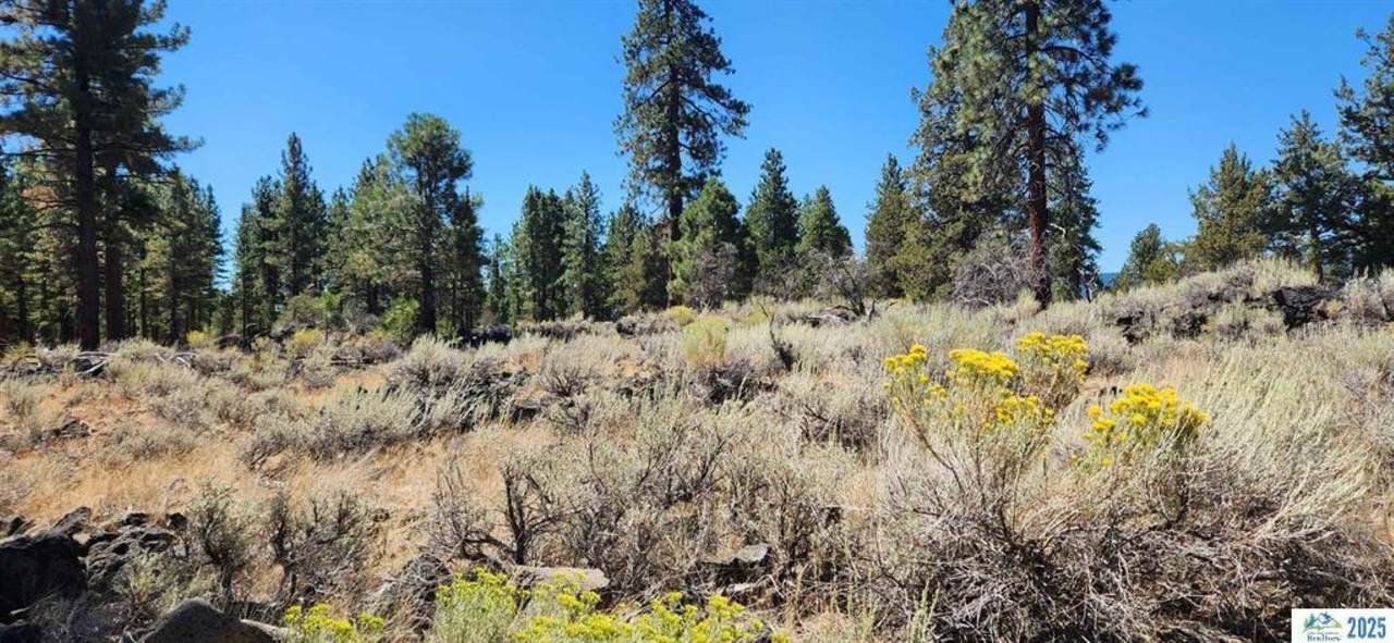  Juniper Way - Photo 1