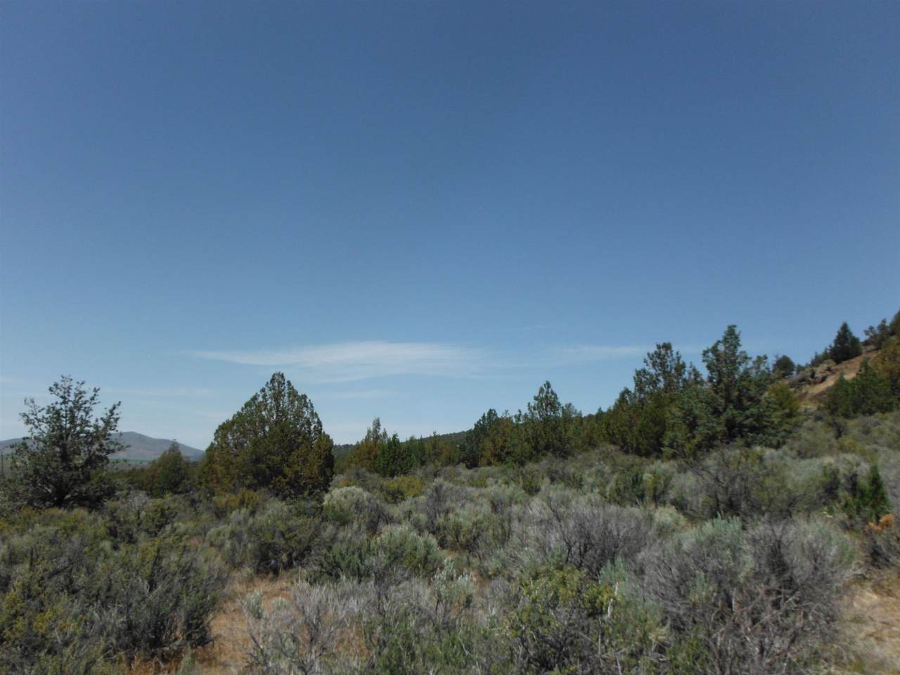 0 Tuledad Road - Photo 1