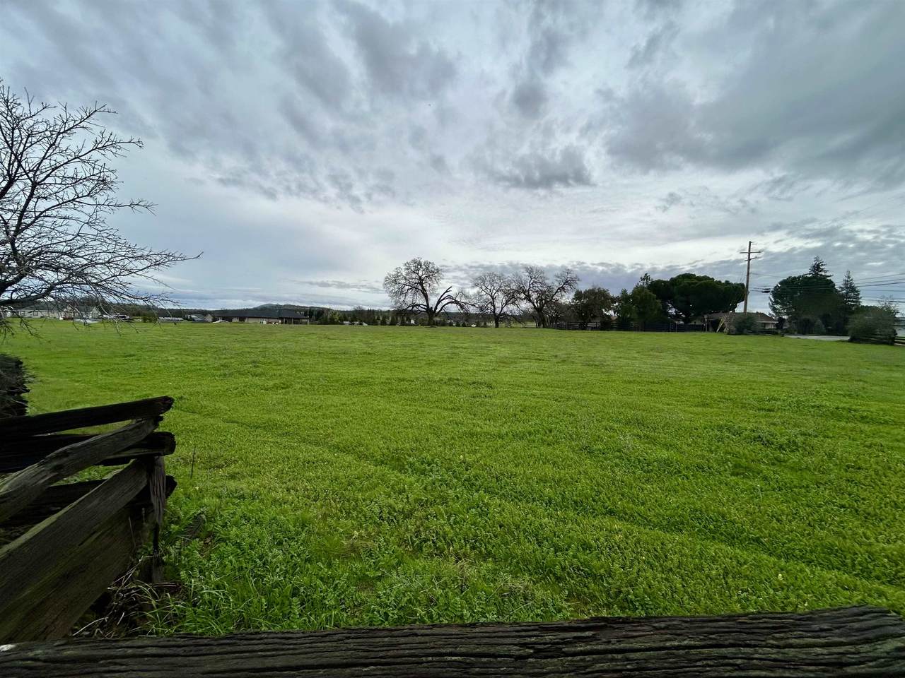 Lot 1 Paynes Creek Road - Photo 1