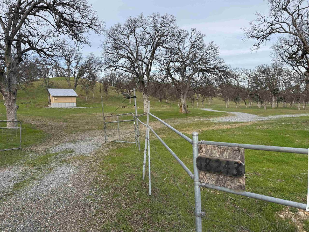 18243 Pack Saddle Road - Photo 1