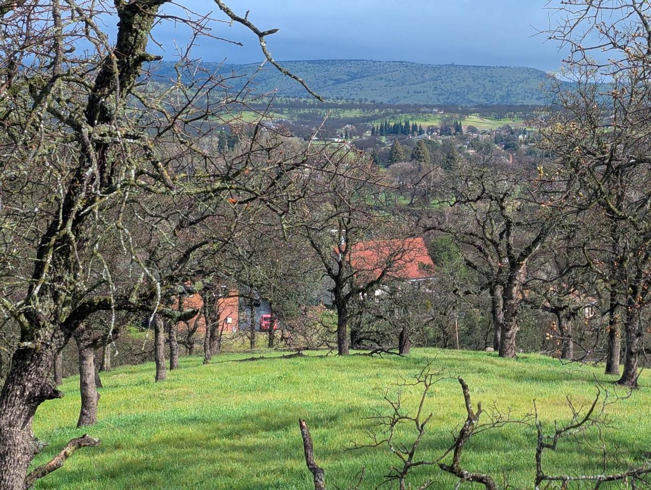 000 Knob Hill Place - Photo 1