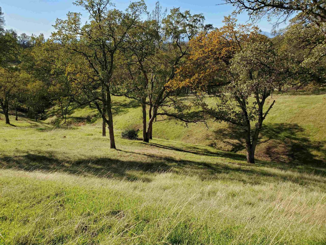  Penneleme Road - Photo 1
