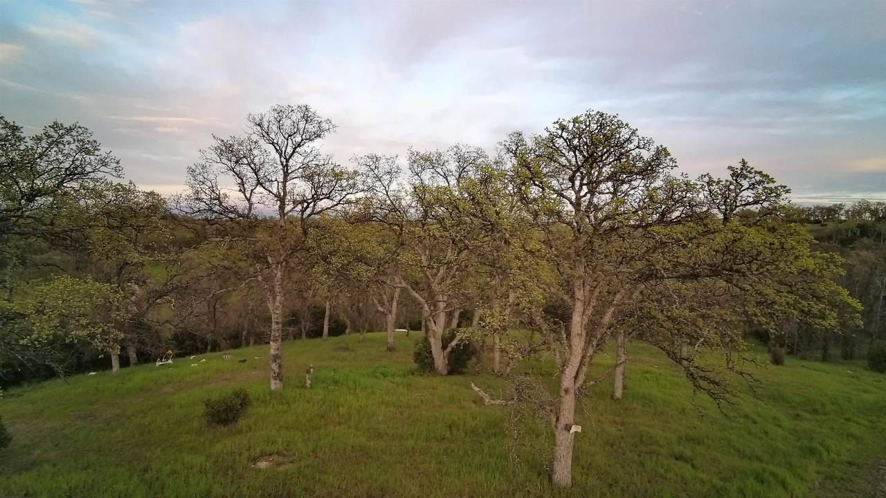 https://bt-photos.global.ssl.fastly.net/tehama/1280_boomver_1_20260231-2.jpg