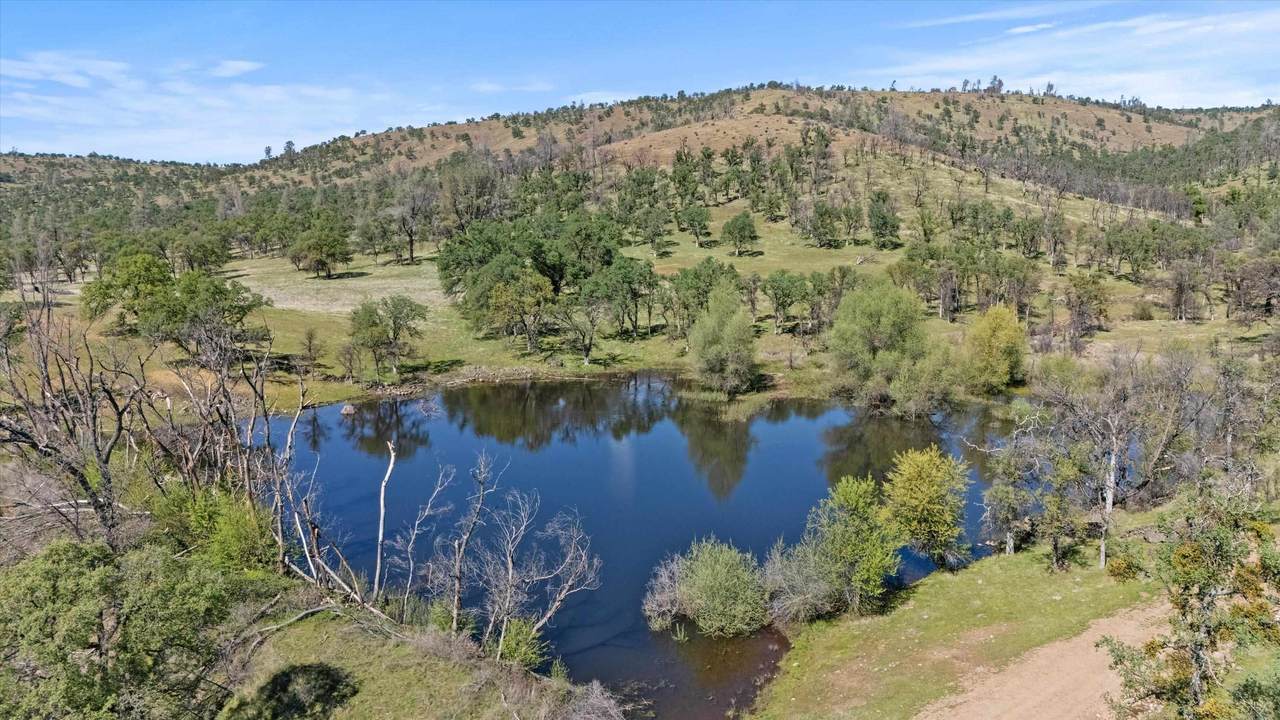 https://bt-photos.global.ssl.fastly.net/tehama/1280_boomver_1_20260359-2.jpg