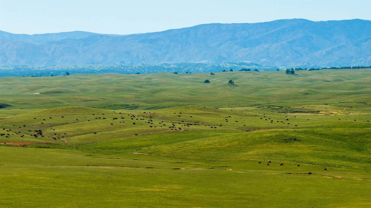 00 Rancho Tehama Rd. - Photo 1