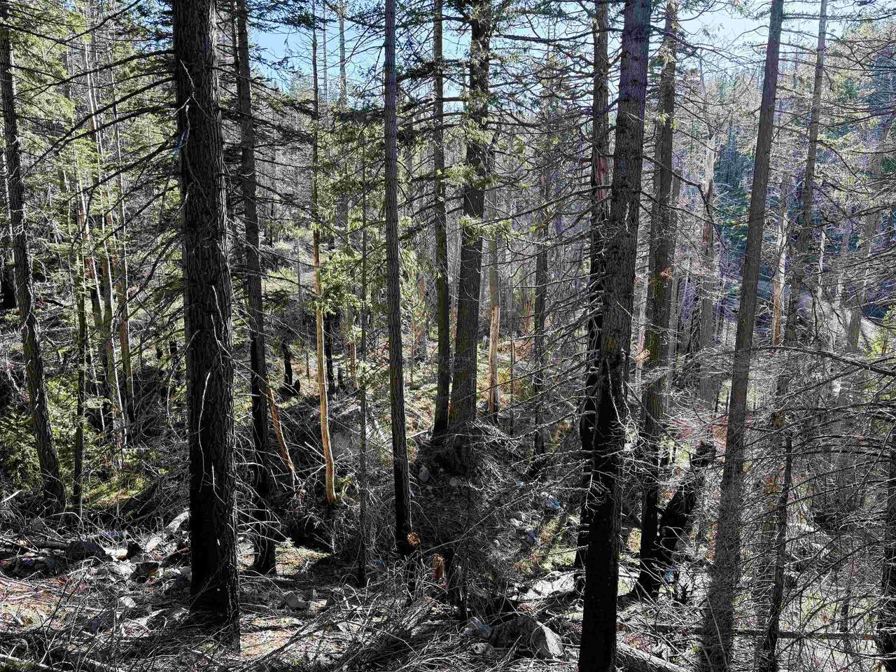00 Gold Run Road - Photo 1