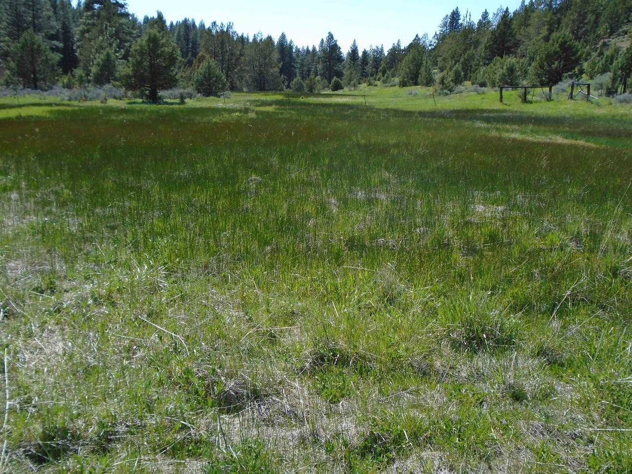 https://bt-photos.global.ssl.fastly.net/tehama/1280_boomver_1_20260448-2.jpg