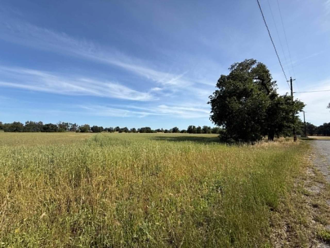 0 Hamilton Avenue - Photo 1