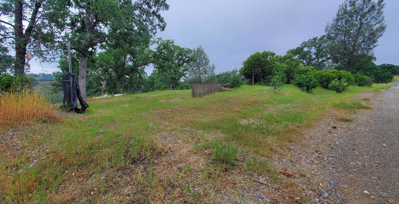 7335 Bluebird Road - Photo 1