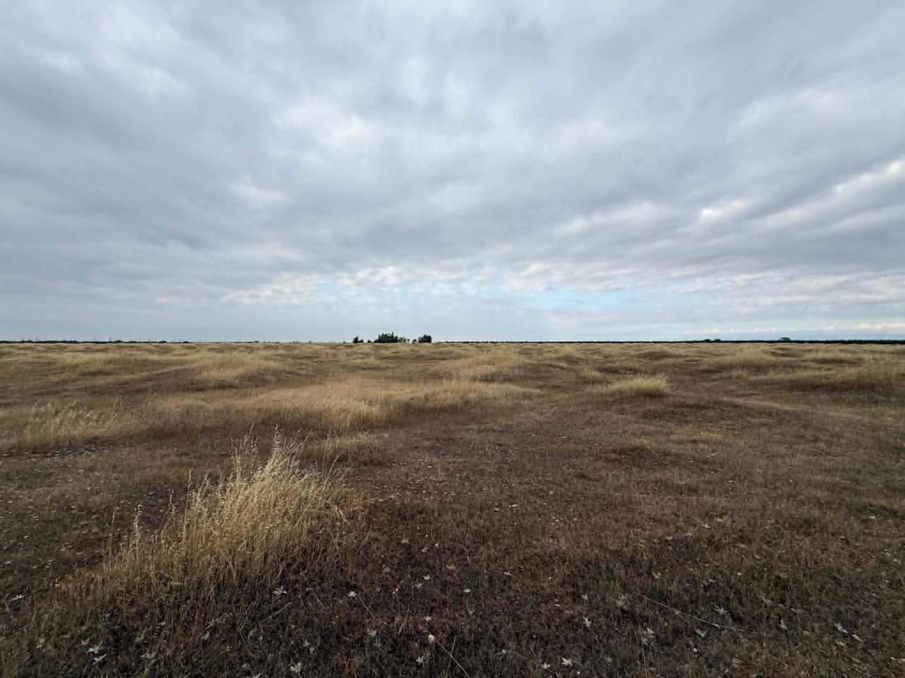 https://bt-photos.global.ssl.fastly.net/tehama/1280_boomver_1_20260672-2.jpg