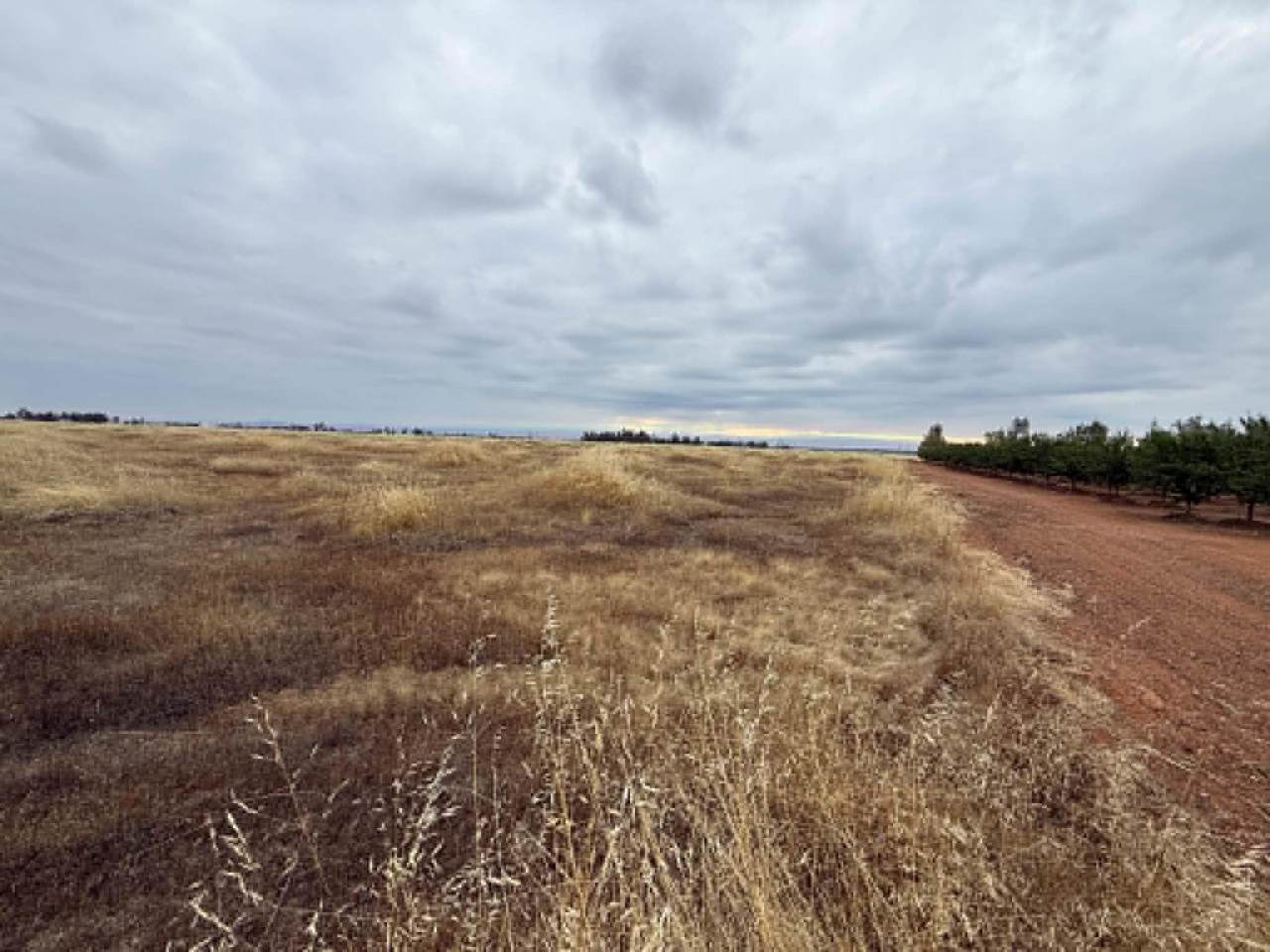 https://bt-photos.global.ssl.fastly.net/tehama/1280_boomver_1_20260672-2.jpg