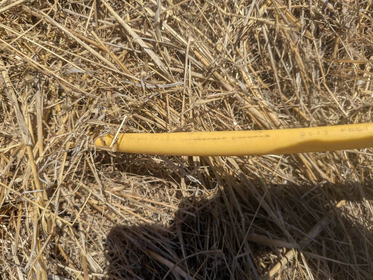 https://bt-photos.global.ssl.fastly.net/tehama/1280_boomver_1_20260752-2.jpg