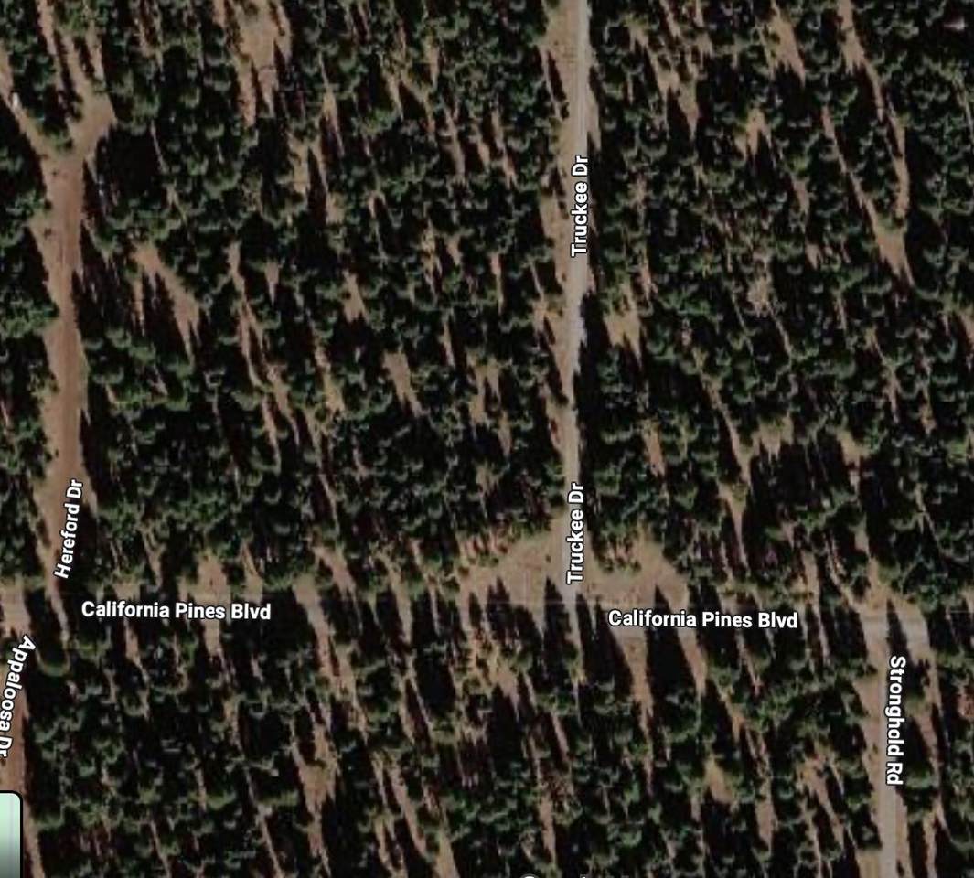 00 Truckee Dr - Photo 1