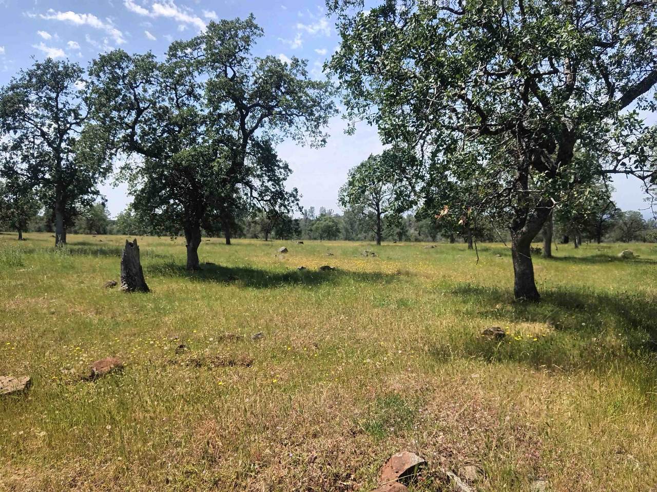  Wildcat Road - Photo 1