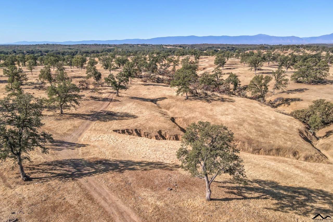 19110 Pine Creek Road - Photo 1