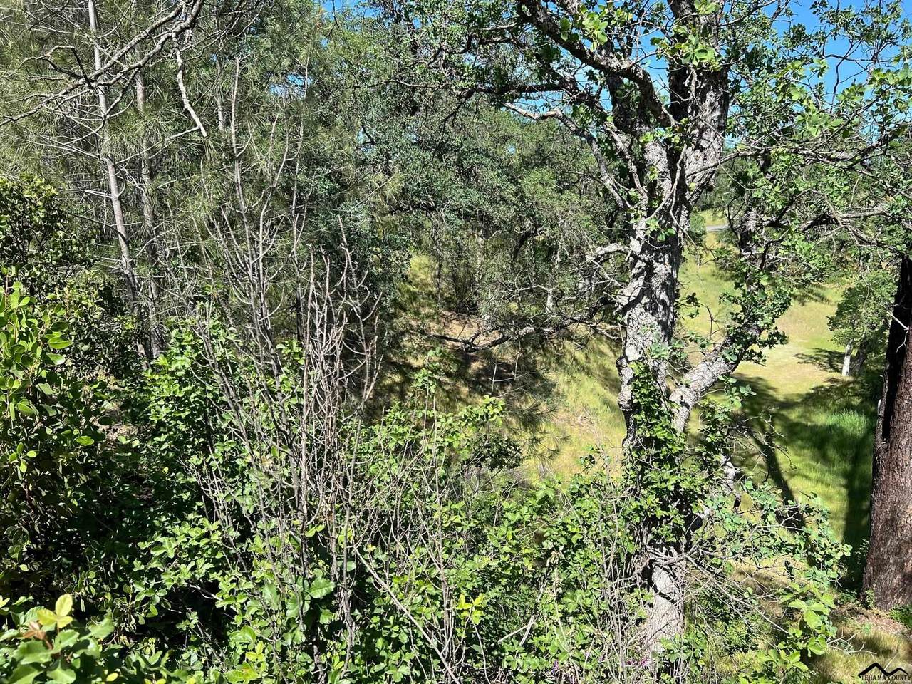 6958 Klamath Point - Photo 1